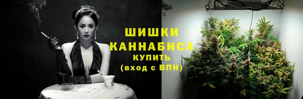 стафф Инсар