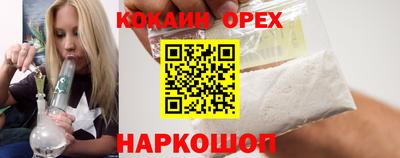 крисы Шебекино
