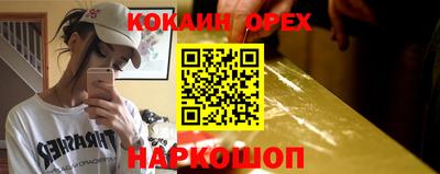 крисы Шебекино