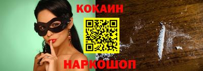 крисы Шебекино