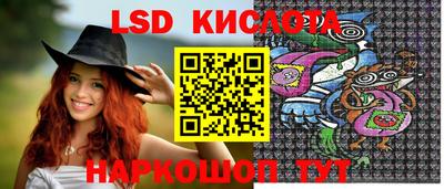 крисы Шебекино