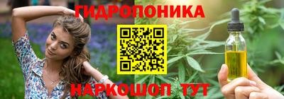 крисы Шебекино