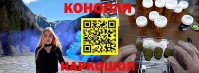крисы Шебекино