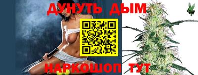 гашик Абакан