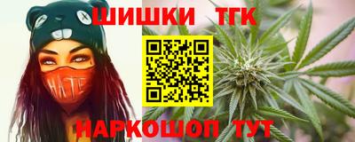 крисы Шебекино