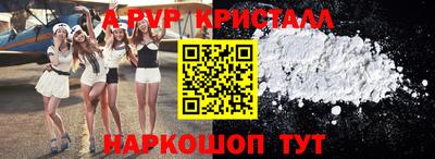 крисы Шебекино
