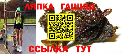 крисы Шебекино