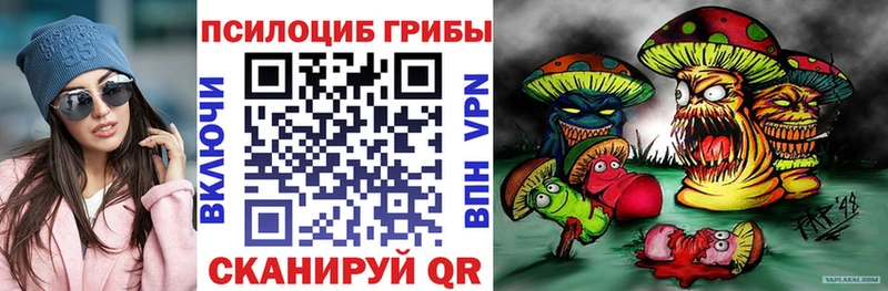 Галлюциногенные грибы Cubensis  как найти закладки  Альметьевск 